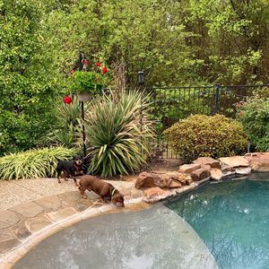 Meet your Posher, Ashly